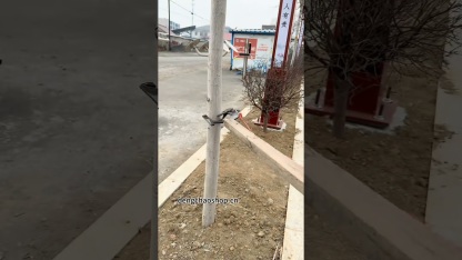 8cm Large Opening Plastic Head Rope Threading Tool | Long Reach Tree Tying & Ship Mooring Device | Aerial Line Stringing Hook