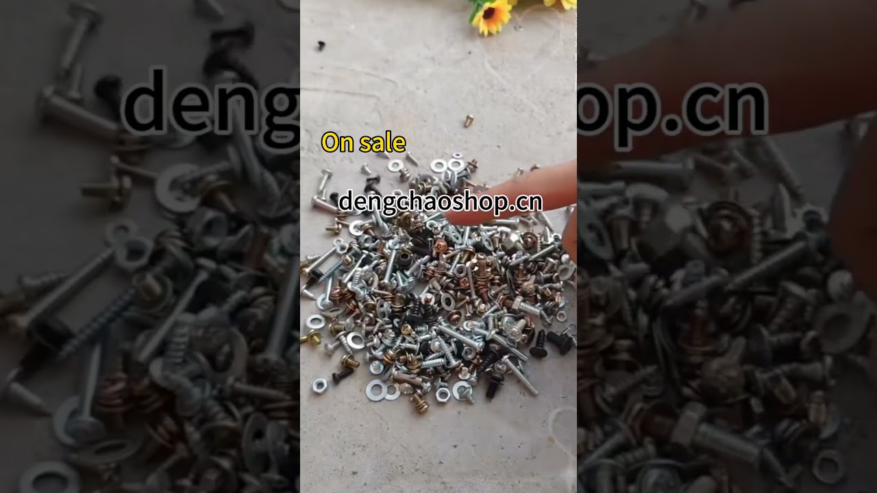 Galvanized Phillips Pan Head Screw & Nut Assortment Kit with Washers for Home Repair