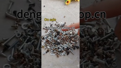 Galvanized Phillips Pan Head Screw & Nut Assortment Kit with Washers for Home Repair