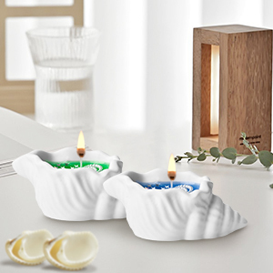Sea Shell Aromatherapy Candle