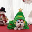 Personalized Pet Santa Hat Cape