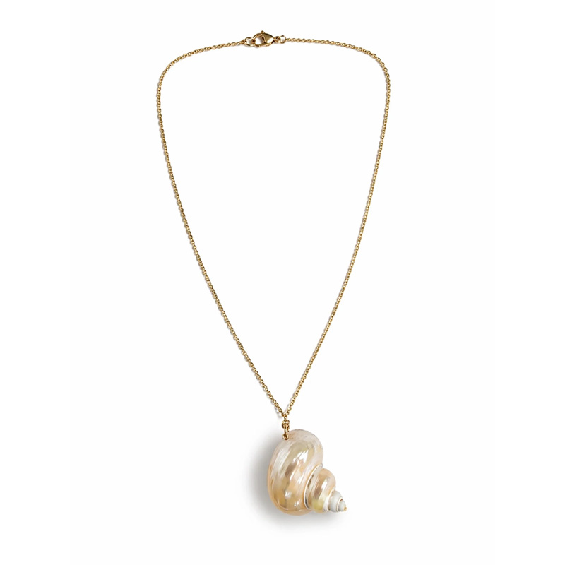 Natural seashell necklace