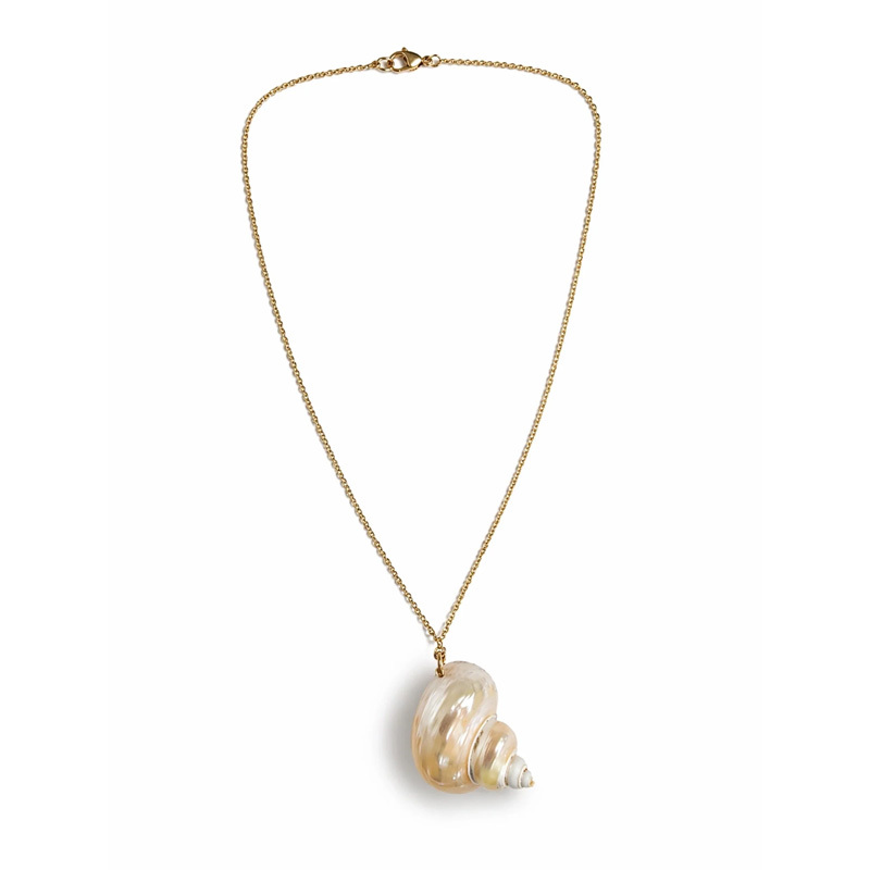Natural seashell necklace