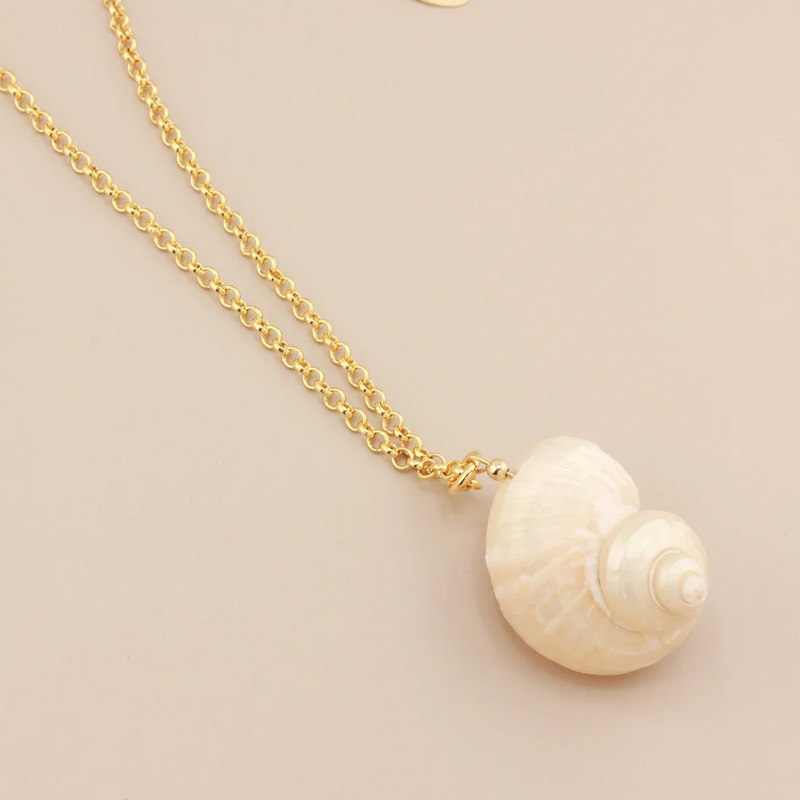 Natural seashell necklace
