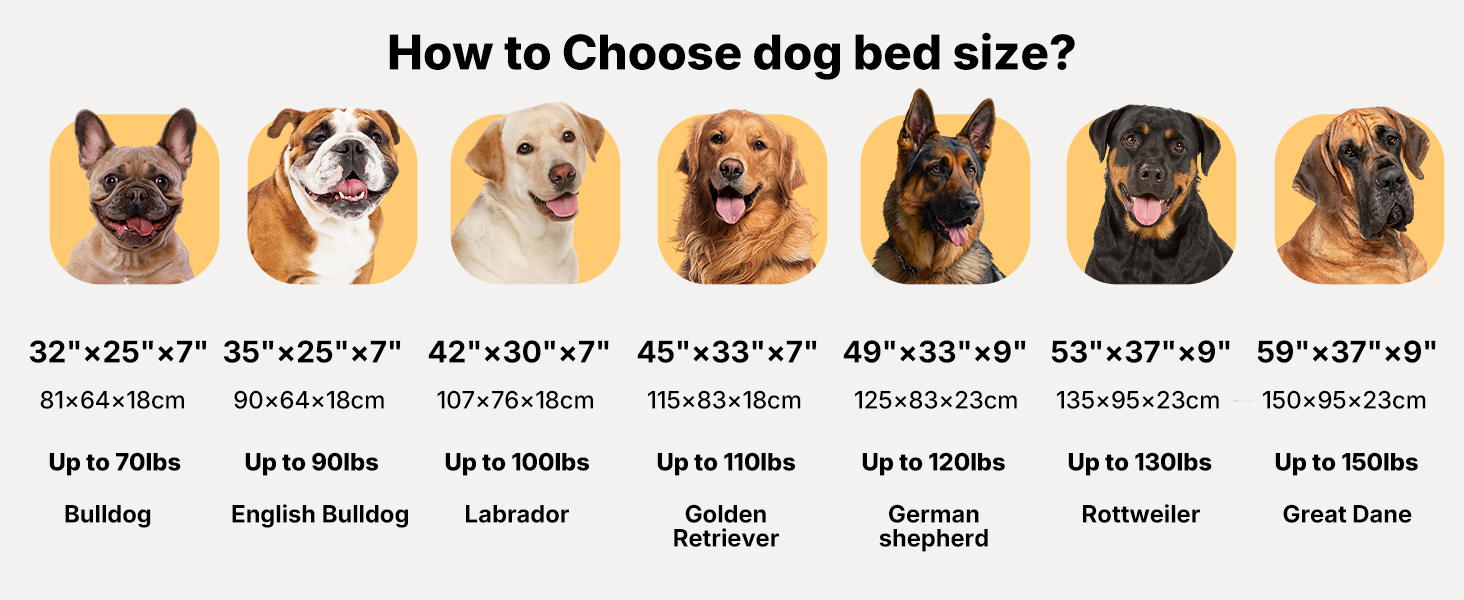 dog cot