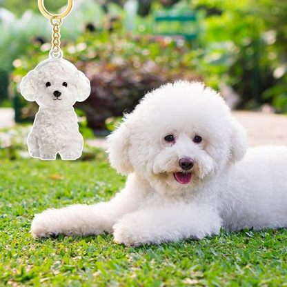 Dog Hair Collector Keychain