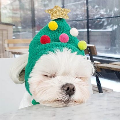 Christmas Pet Costume