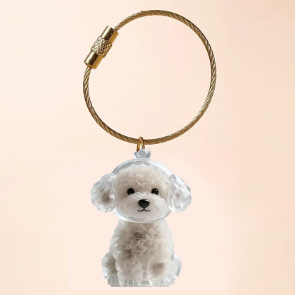 Dog Hair Collector Keychain
