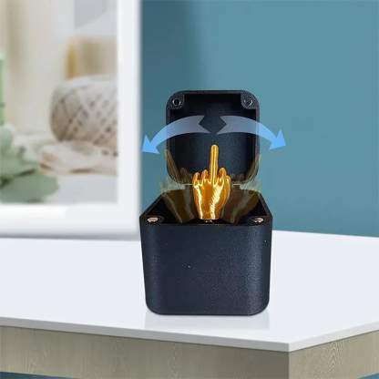 Middle Finger Surprise Box