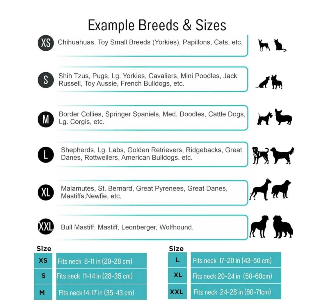 Customizable Friendship Bracelets