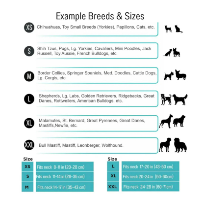 Customizable Friendship Bracelets