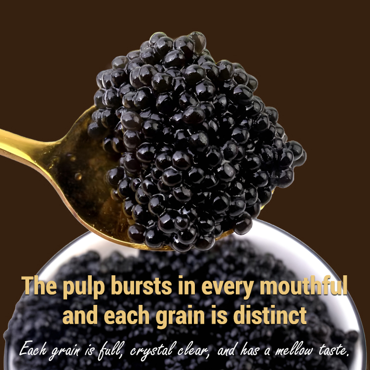 【Deep-sea delicacies, bouncy and bursting with flavor】Beluga caviar