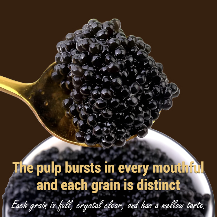 【Deep-sea delicacies, bouncy and bursting with flavor】Beluga caviar