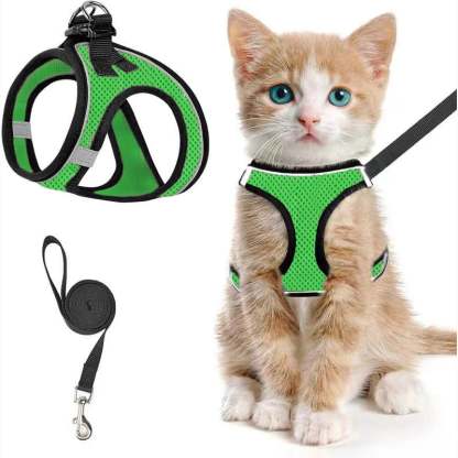 🐾 Sele & Koppel Set för Hund och Katt 