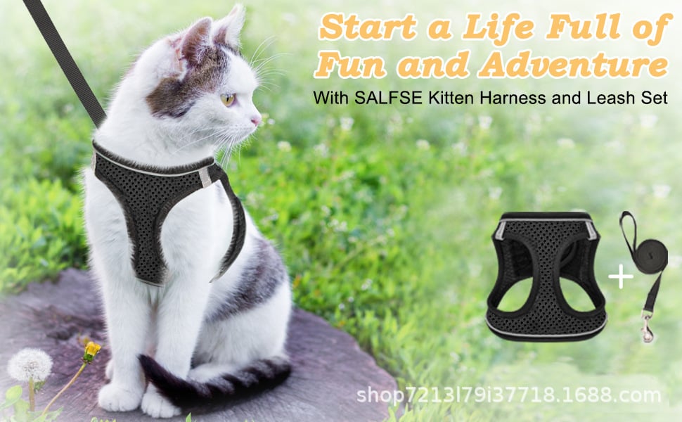 🐾 Sele & Koppel Set för Hund och Katt 
