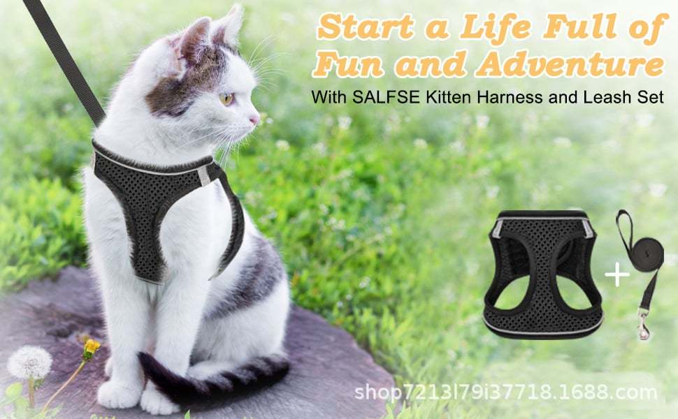 🐾 Sele & Koppel Set för Hund och Katt 