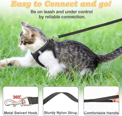 🐾 Sele & Koppel Set för Hund och Katt 