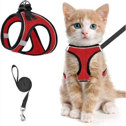 🐾 Sele & Koppel Set för Hund och Katt 