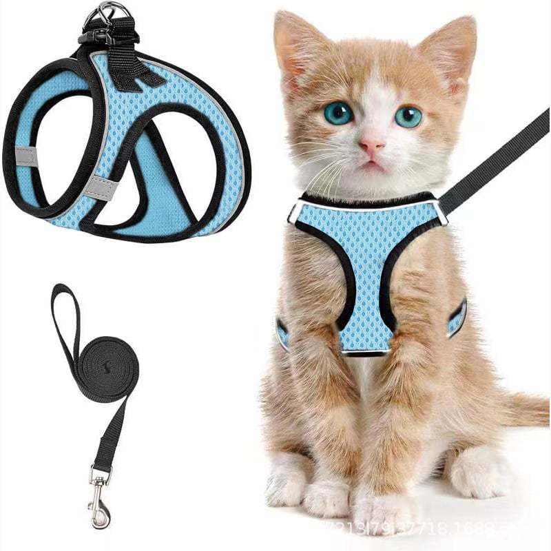 🐾 Sele & Koppel Set för Hund och Katt 
