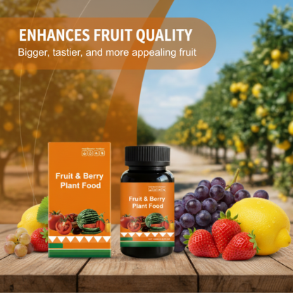 Obst- und Beerenpflanzennahrung