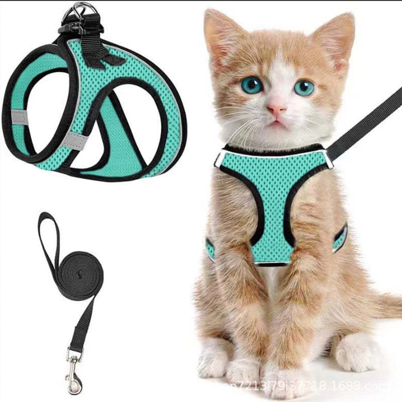 🐾 Sele & Koppel Set för Hund och Katt 