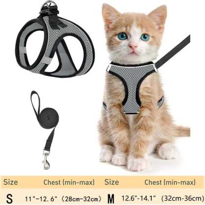 🐾 Sele & Koppel Set för Hund och Katt 