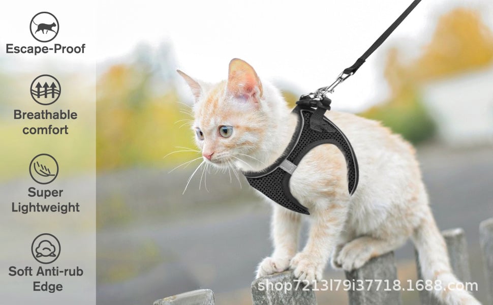 🐾 Sele & Koppel Set för Hund och Katt 