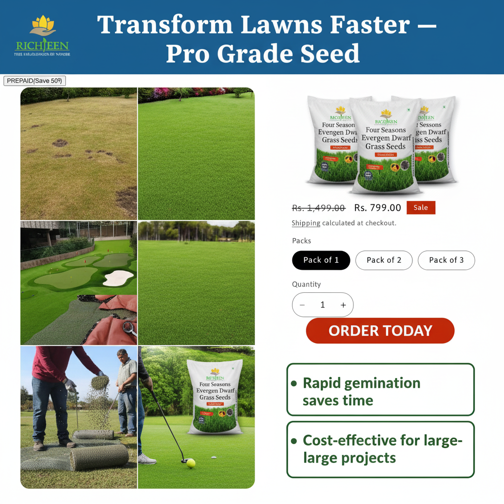 Four Seasons Evergreen Dwarf Grass Seeds