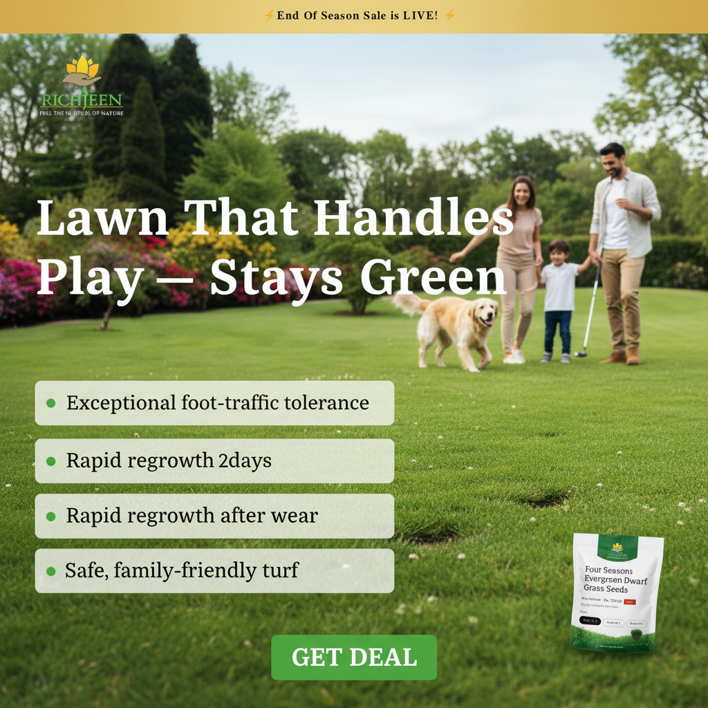 Four Seasons Evergreen Dwarf Grass Seeds