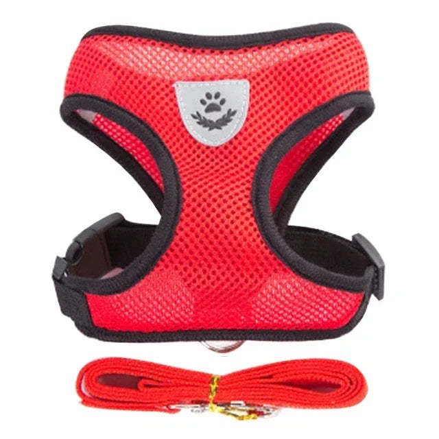 Cat & Dog Harness & Leash