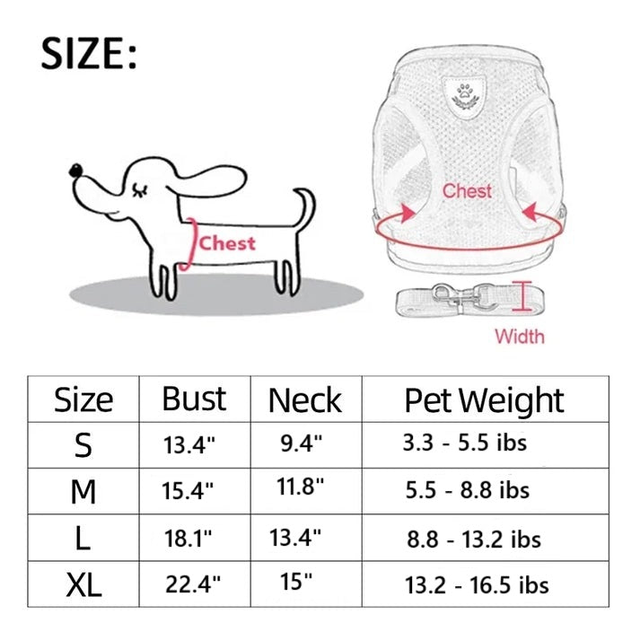Cat & Dog Harness & Leash