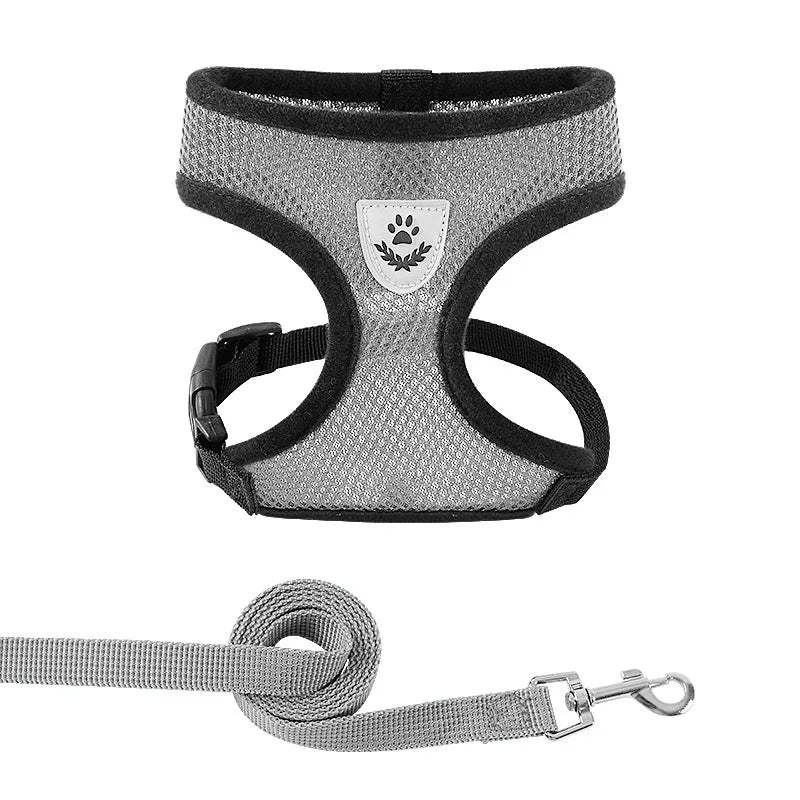 Cat & Dog Harness & Leash