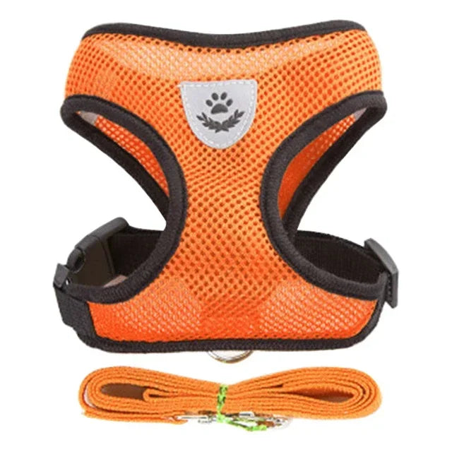Cat & Dog Harness & Leash
