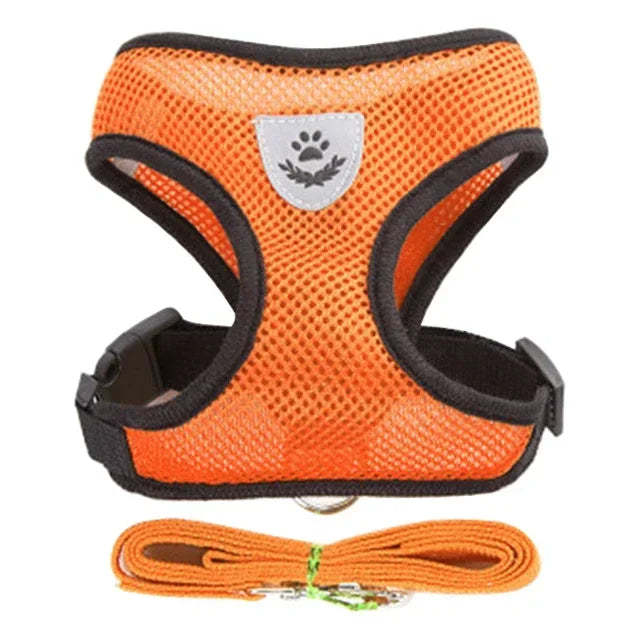 Cat & Dog Harness & Leash
