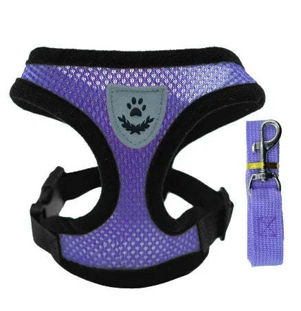 Cat & Dog Harness & Leash