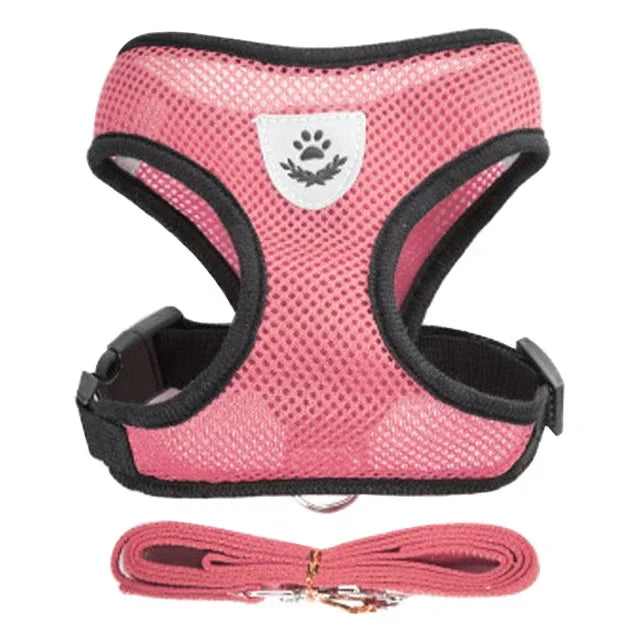 Cat & Dog Harness & Leash