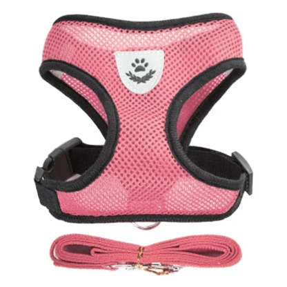 Cat & Dog Harness & Leash