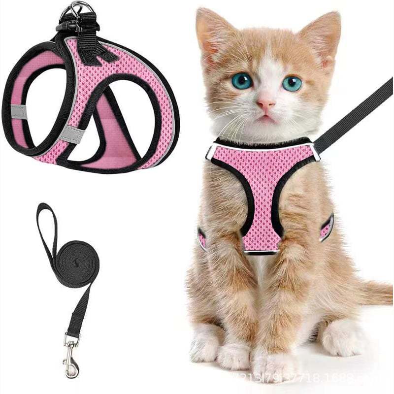 🐾 Sele & Koppel Set för Hund och Katt 
