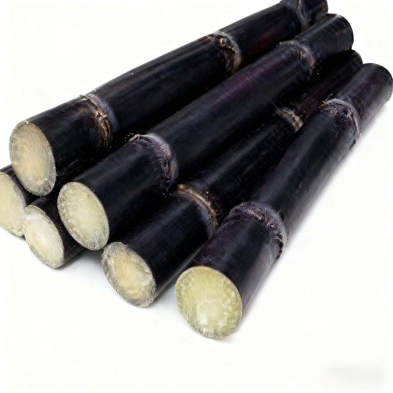 ❤️Sweet Harvest Starter Kit 🍃 Sugarcane Seeds✨Beginner-Friendly