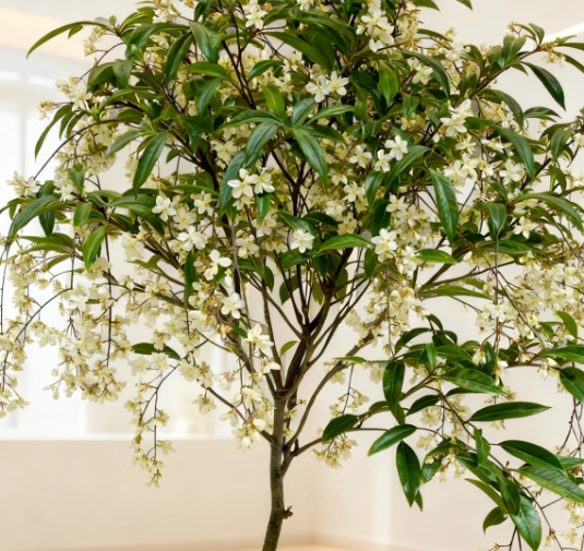 🌸 Last Day 49% OFF – Winter-Friendly Hanging Jasmine—Dreamy Indoor Flower🌿❄️
