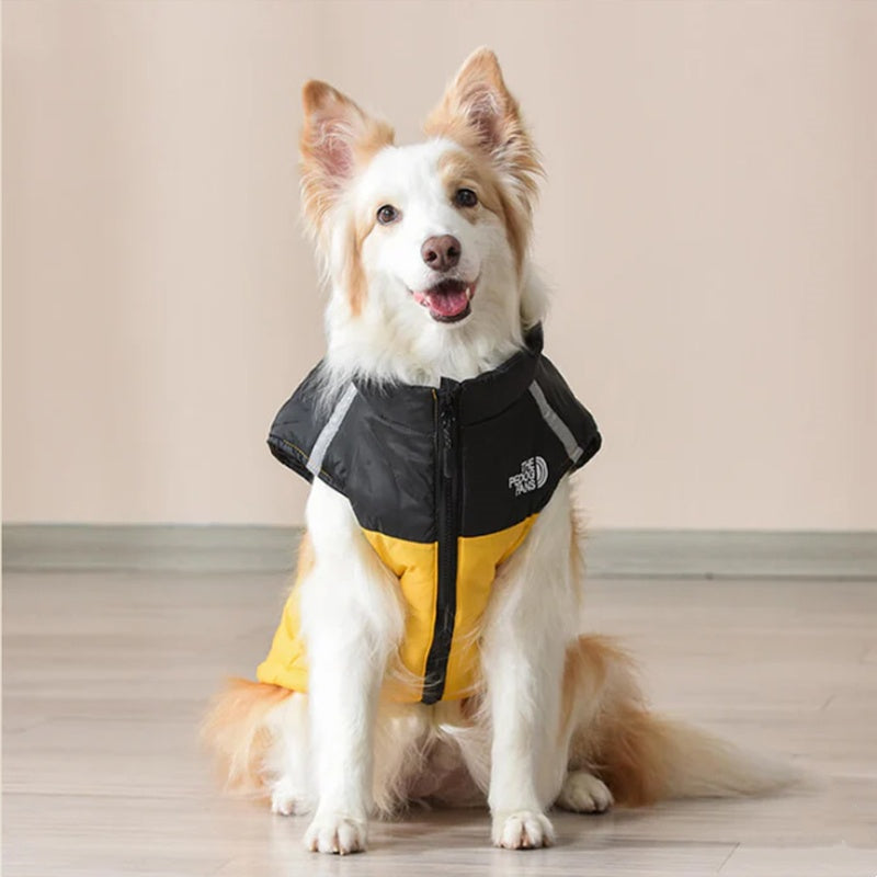 Wasserdichter, winddichter Winterhundemantel