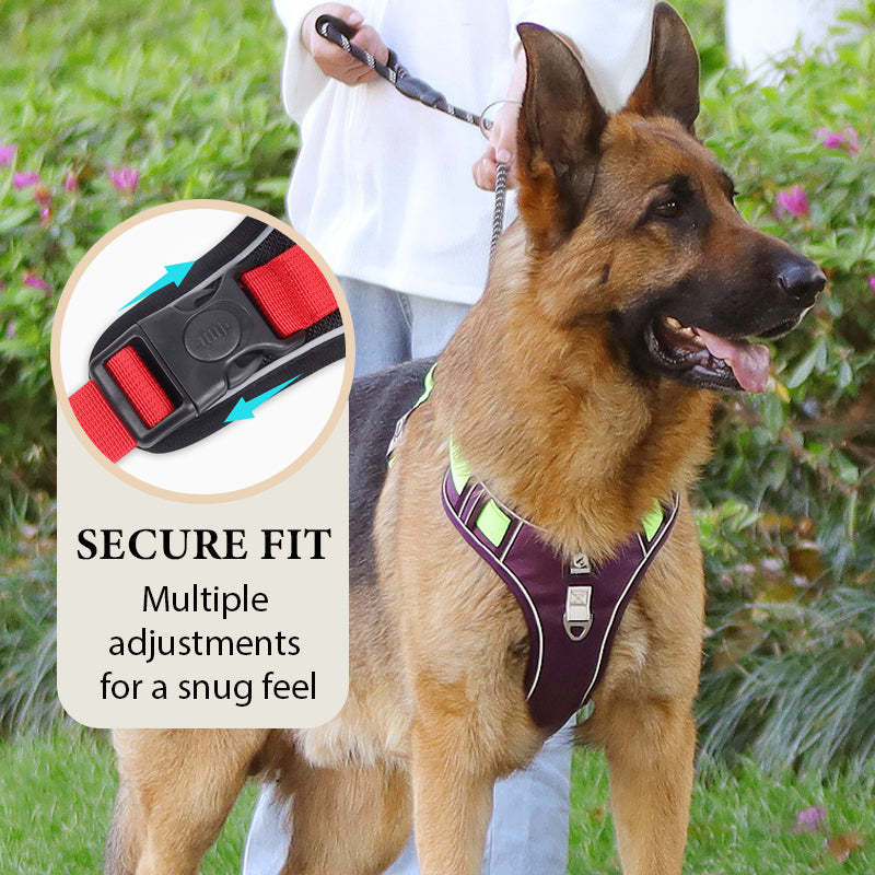 Smart Hundsele med LED-halsband – Bekväm & Säkert för Trygga Promenader