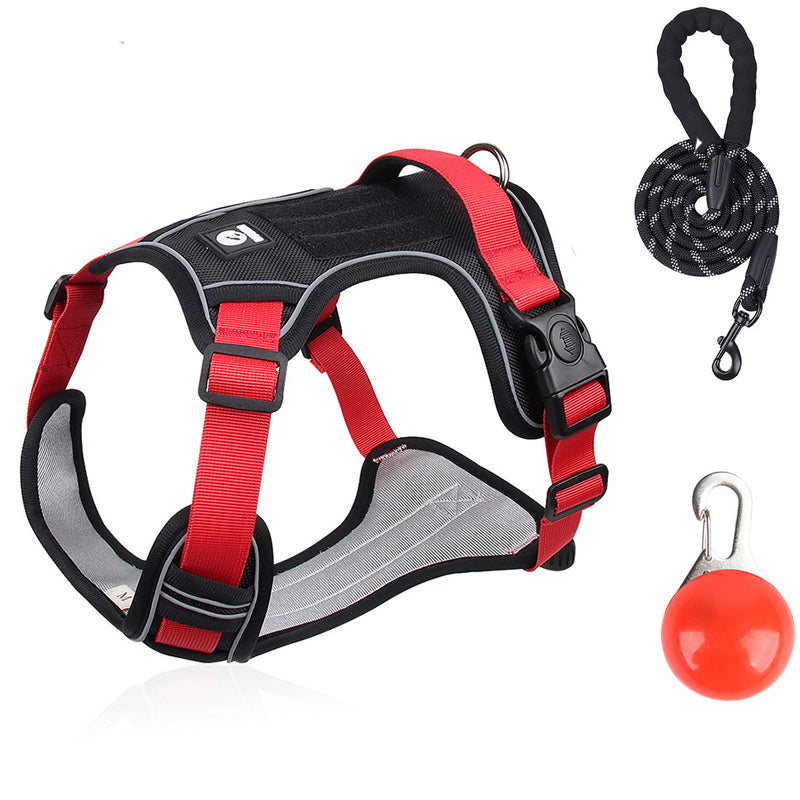 Smart Hundsele med LED-halsband – Bekväm & Säkert för Trygga Promenader