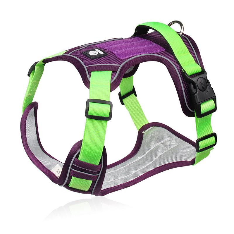 Smart Hundsele med LED-halsband – Bekväm & Säkert för Trygga Promenader
