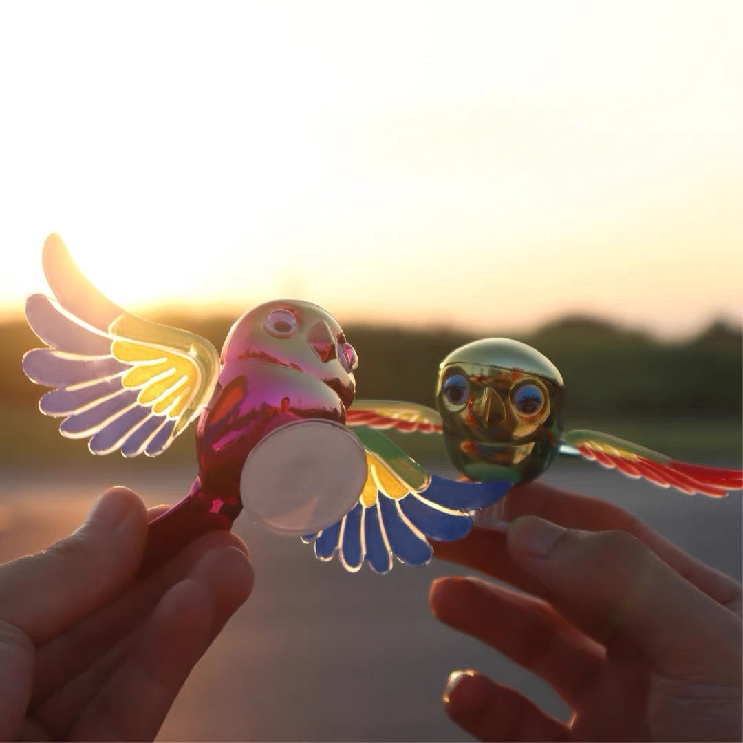 Fly with the Birds
