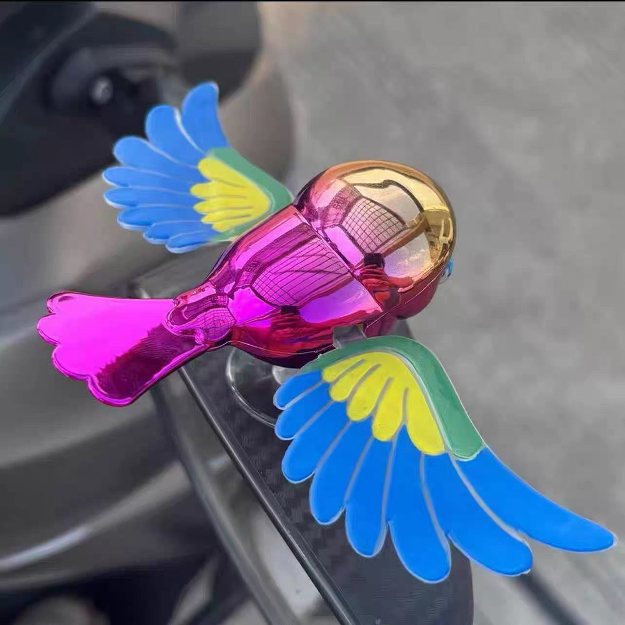 Fly with the Birds
