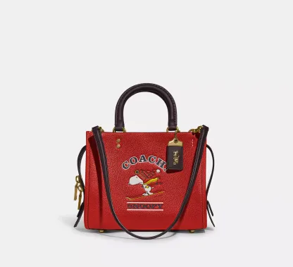 Coathtch X Peanuts Rogue Bag 25 With Ski Snoopy