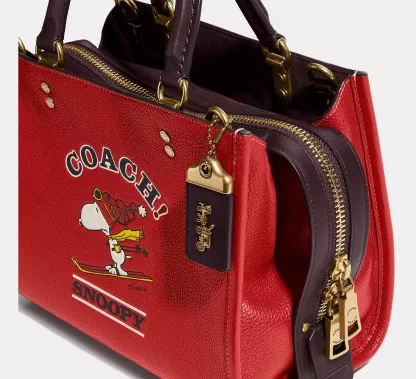 Coathtch X Peanuts Rogue Bag 25 With Ski Snoopy