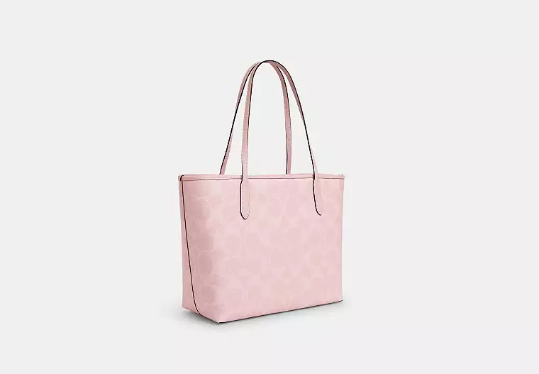 City Tote Bag In Signature Canvas