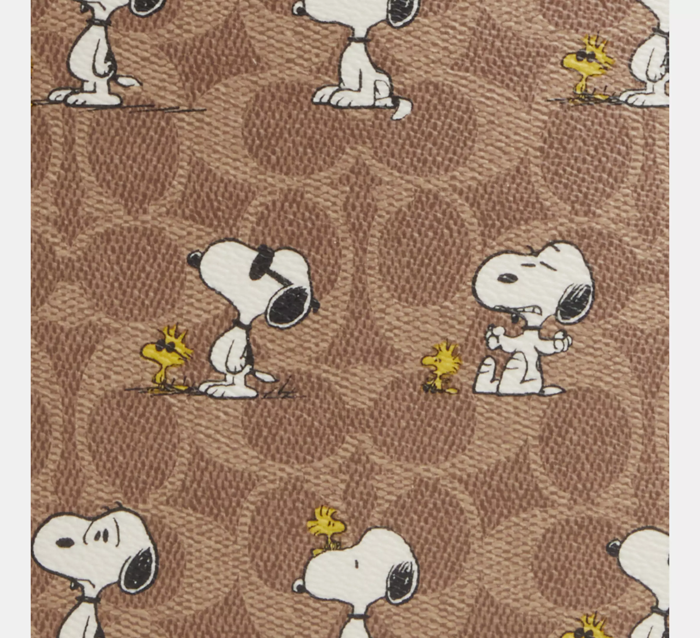 Peanuts Sullivan Crossbody Bag in Signature Canvas with Snoopy Print